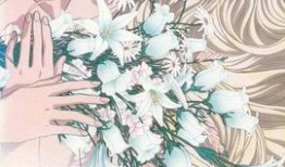 地球守护灵漫画,守护家园的神秘力量