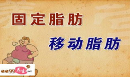 肥胖的危害高清短视频,短视频深度解析